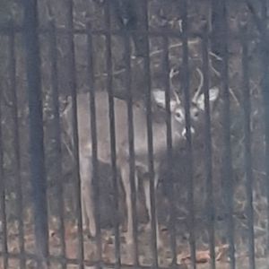 Meet your Posher, Patty